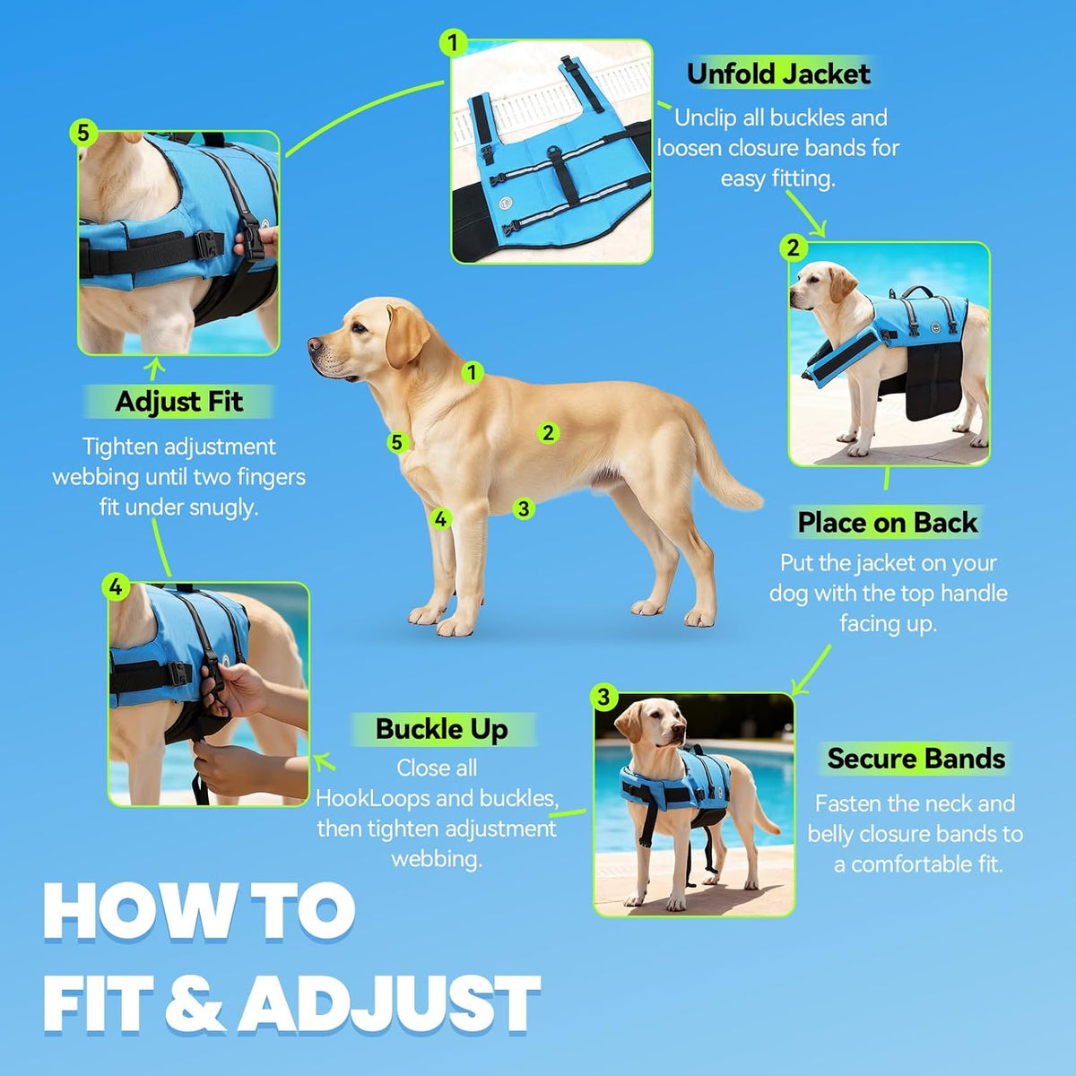 Dog Life Vest Rip Stop Dog Swim Vest, S, Blue